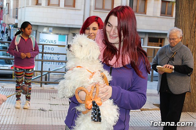 Bendicin animales San Antn 2018 - 163