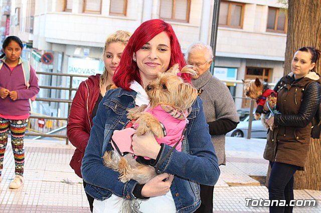 Bendicin animales San Antn 2018 - 165