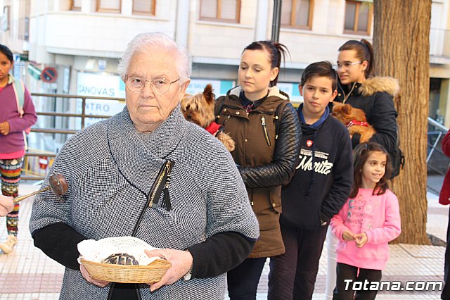 Bendicin animales San Antn 2018 - 169