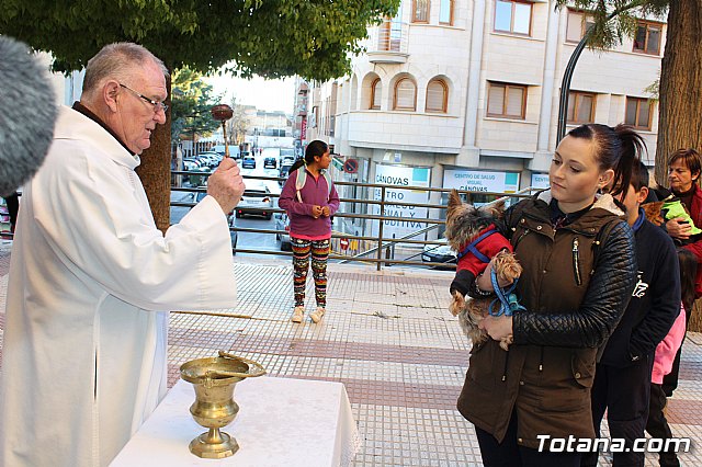 Bendicin animales San Antn 2018 - 170