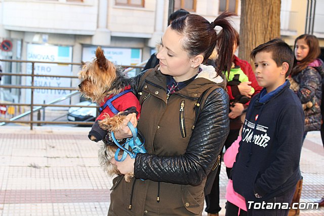 Bendicin animales San Antn 2018 - 171