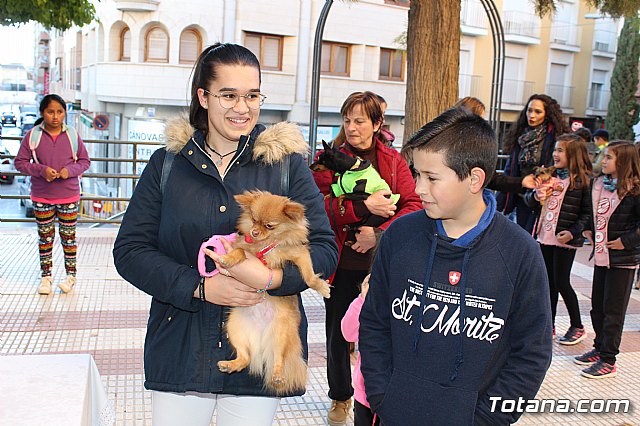 Bendicin animales San Antn 2018 - 173