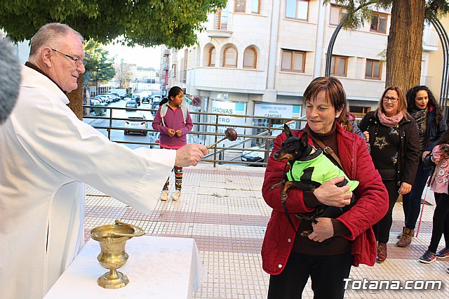 Bendicin animales San Antn 2018 - 174