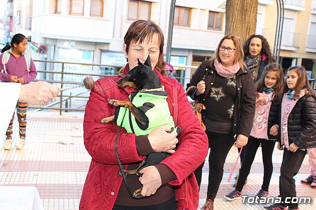 Bendicin animales San Antn 2018 - 175