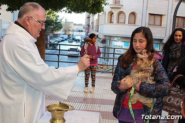 Bendicin animales San Antn 2018 - 176