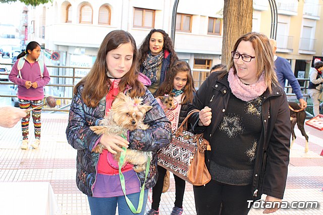 Bendicin animales San Antn 2018 - 177