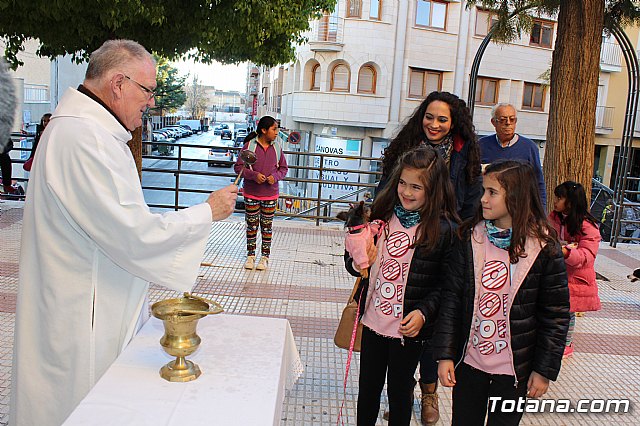 Bendicin animales San Antn 2018 - 178