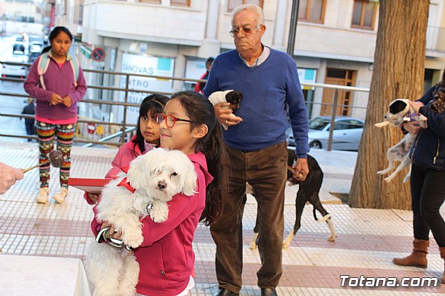 Bendicin animales San Antn 2018 - 182