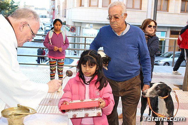 Bendicin animales San Antn 2018 - 183