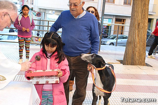 Bendicin animales San Antn 2018 - 184