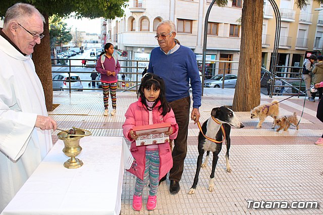 Bendicin animales San Antn 2018 - 185