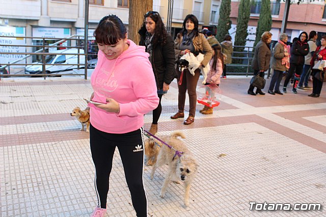 Bendicin animales San Antn 2018 - 188