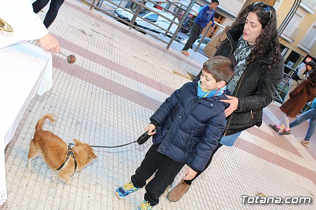 Bendicin animales San Antn 2018 - 190