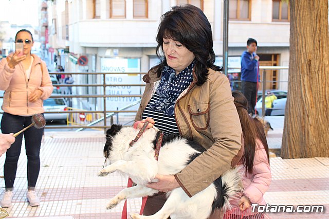 Bendicin animales San Antn 2018 - 192