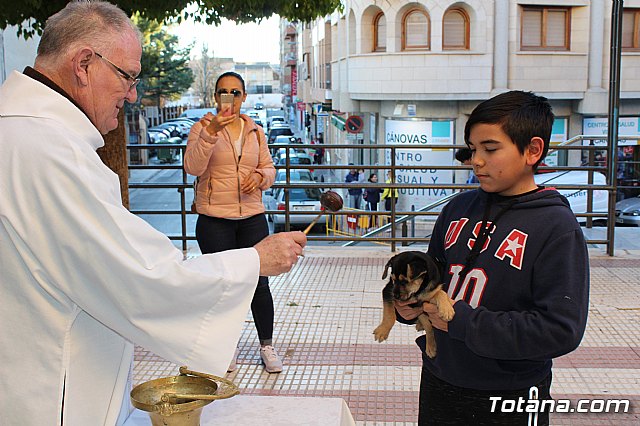 Bendicin animales San Antn 2018 - 195
