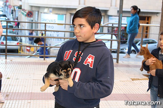 Bendicin animales San Antn 2018 - 196