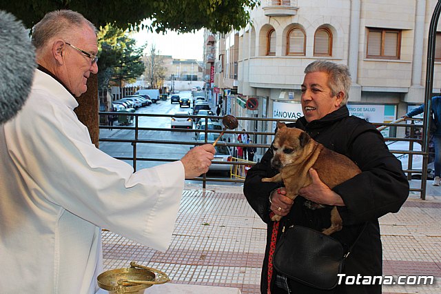 Bendicin animales San Antn 2018 - 201
