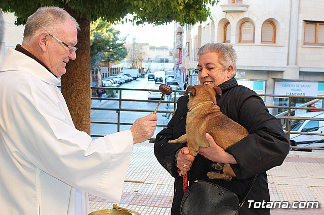 Bendicin animales San Antn 2018 - 202