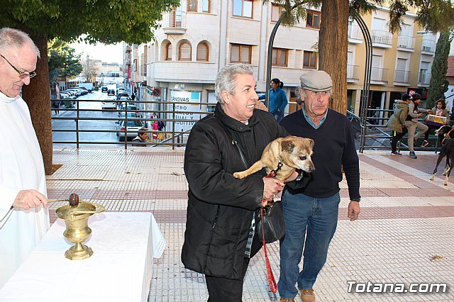 Bendicin animales San Antn 2018 - 203