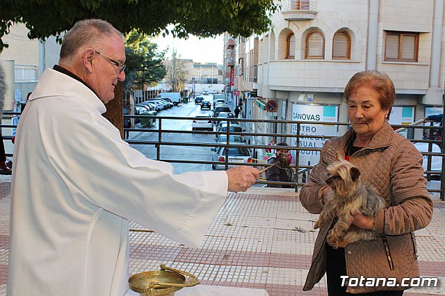 Bendicin animales San Antn 2018 - 204
