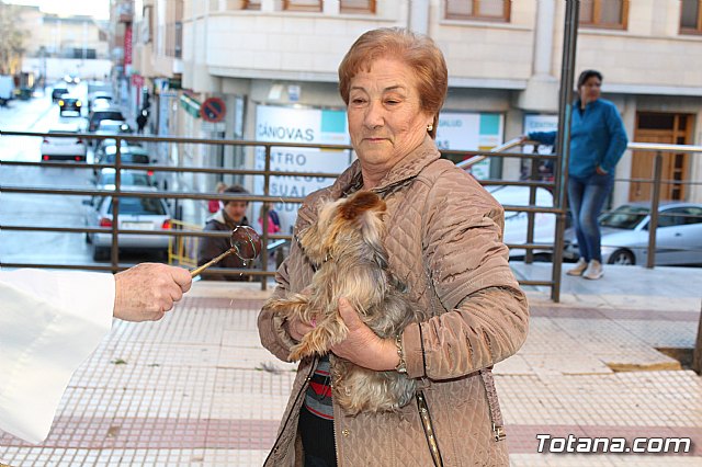 Bendicin animales San Antn 2018 - 205