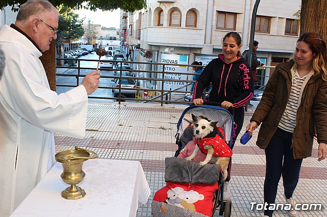 Bendicin animales San Antn 2018 - 206