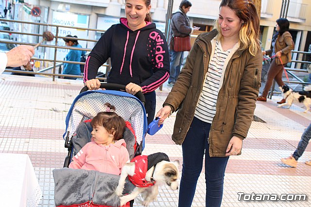 Bendicin animales San Antn 2018 - 207