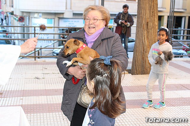 Bendicin animales San Antn 2018 - 209