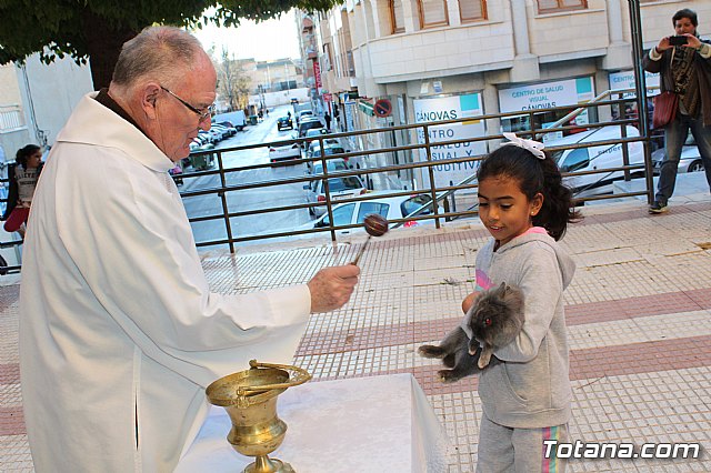 Bendicin animales San Antn 2018 - 210