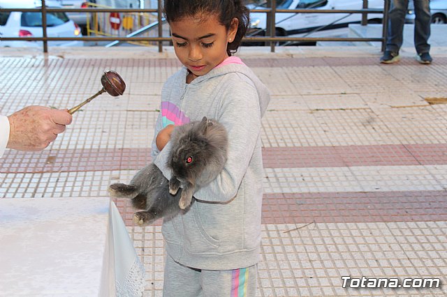 Bendicin animales San Antn 2018 - 211