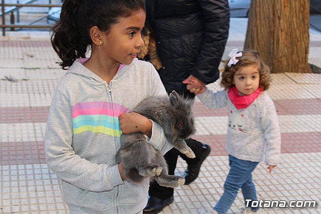 Bendicin animales San Antn 2018 - 212