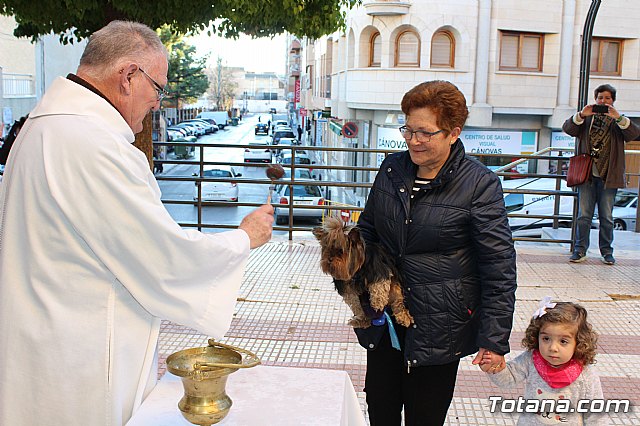 Bendicin animales San Antn 2018 - 213