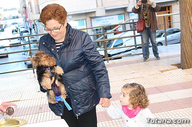 Bendicin animales San Antn 2018 - 214