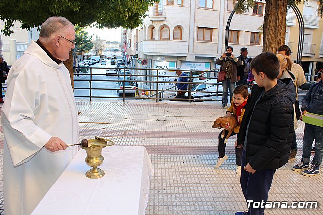 Bendicin animales San Antn 2018 - 216