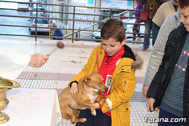 Bendicin animales San Antn 2018 - 217