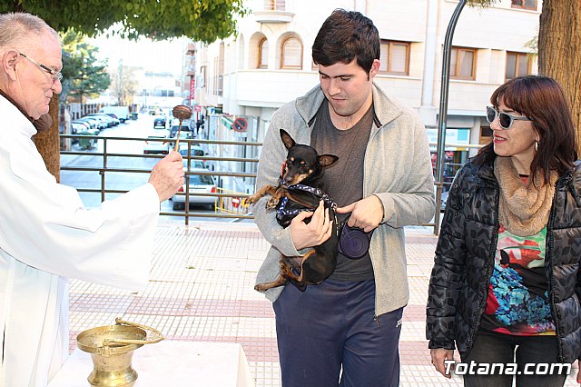 Bendicin animales San Antn 2018 - 221