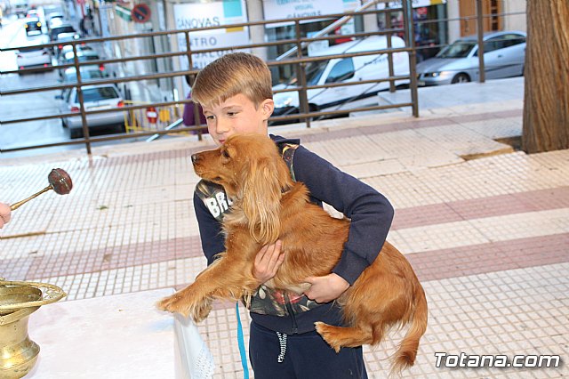 Bendicin animales San Antn 2018 - 224