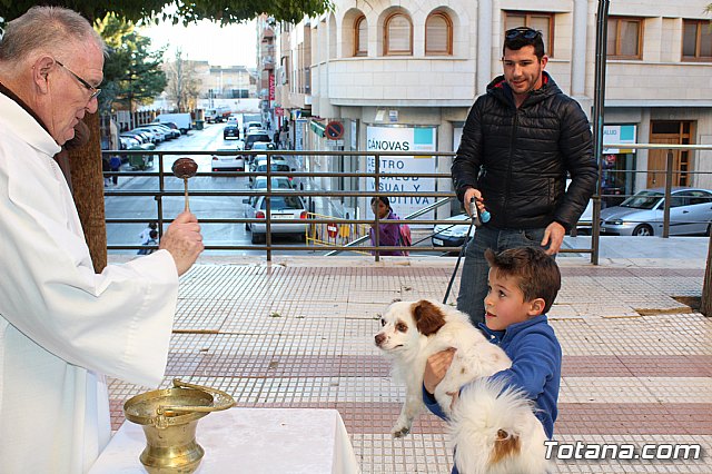 Bendicin animales San Antn 2018 - 225