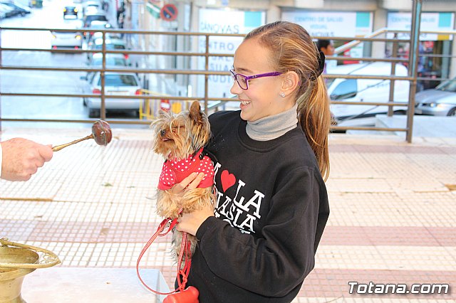 Bendicin animales San Antn 2018 - 228