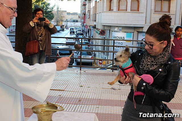 Bendicin animales San Antn 2018 - 230