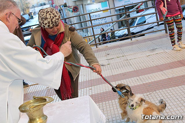 Bendicin animales San Antn 2018 - 232