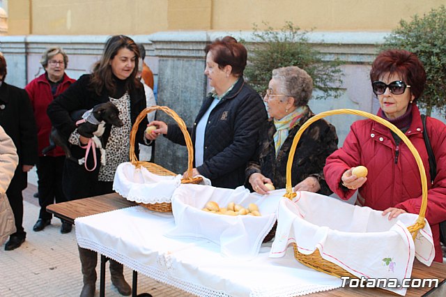 Bendicin animales San Antn 2018 - 234