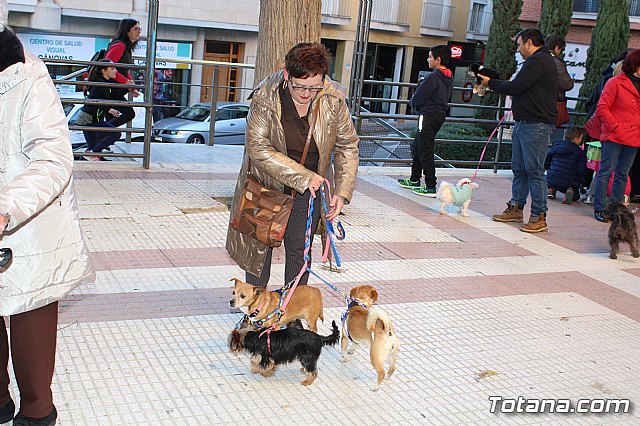 Bendicin animales San Antn 2018 - 239