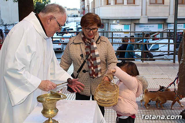 Bendicin animales San Antn 2018 - 241