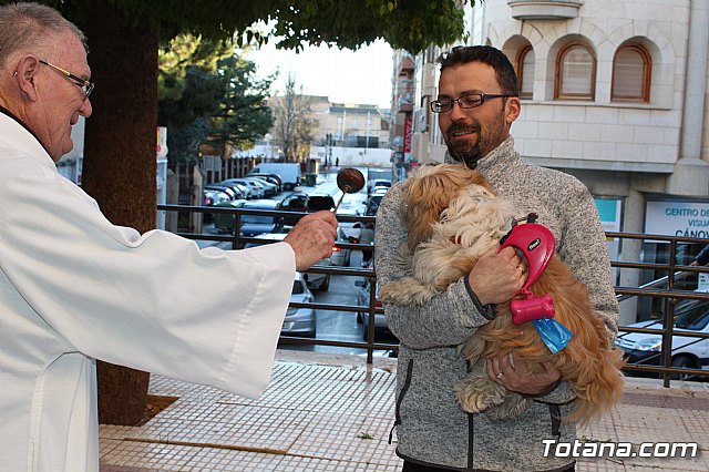 Bendicin animales San Antn 2018 - 243