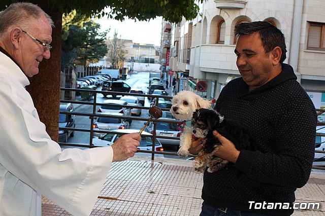 Bendicin animales San Antn 2018 - 244