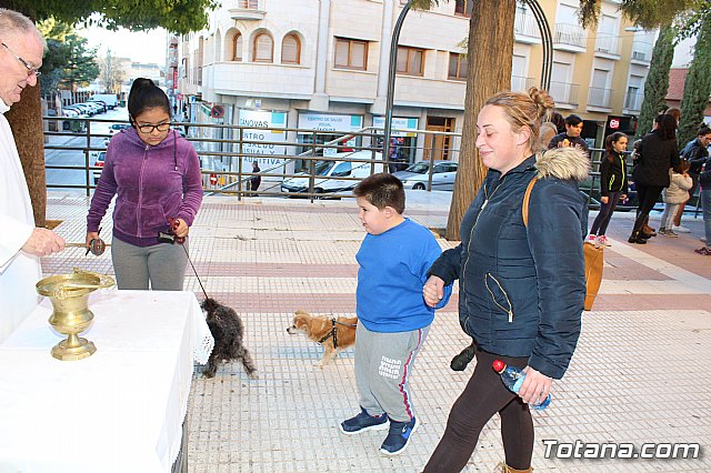 Bendicin animales San Antn 2018 - 246