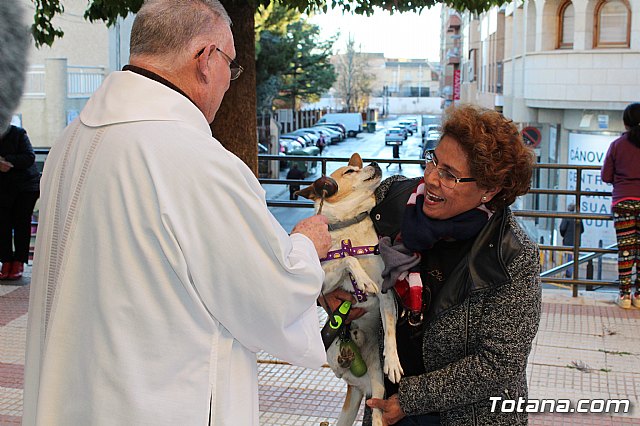 Bendicin animales San Antn 2018 - 248