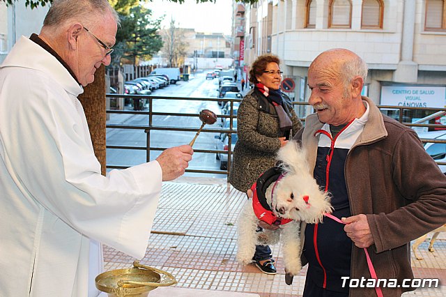 Bendicin animales San Antn 2018 - 249