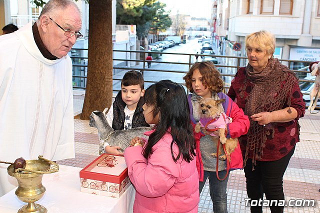 Bendicin animales San Antn 2018 - 255